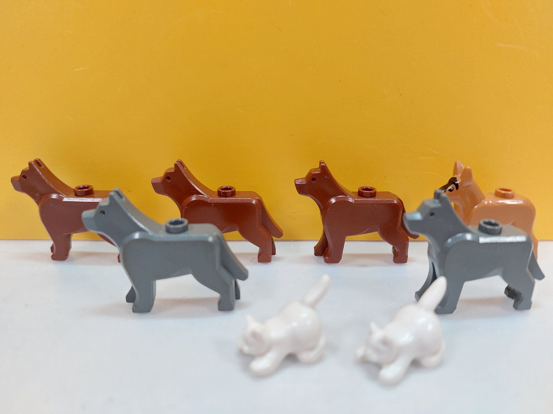 Lego Kit di costruzioni: LEGO System / City - 6 Hunde und 2 Katzen – Usato da St.Gallen venduto da TinasBauundSpiel