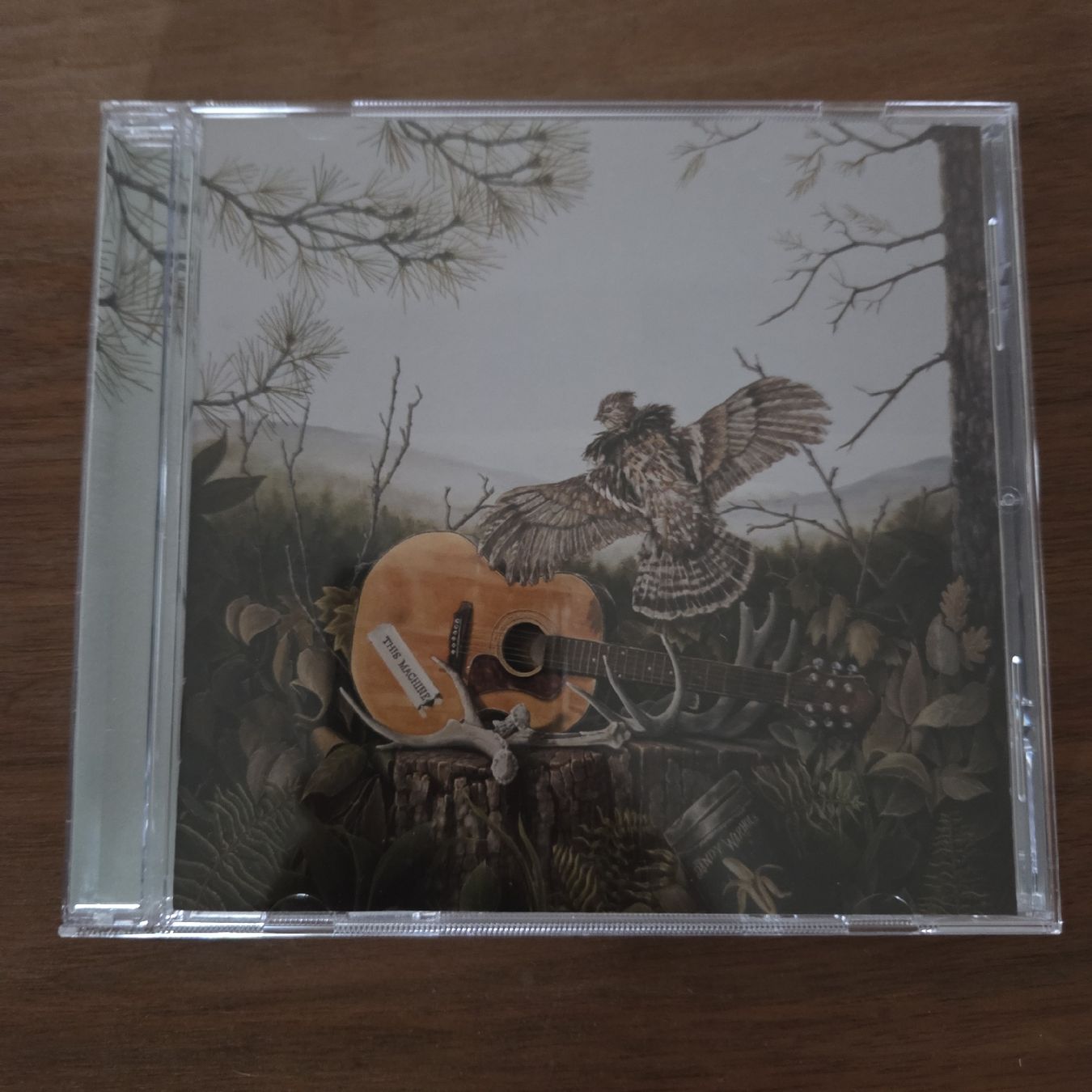 CD: The Dandy Warhols - This Machine - CD – Nuovo (secondo la descrizione) da Olten venduto da clayrout