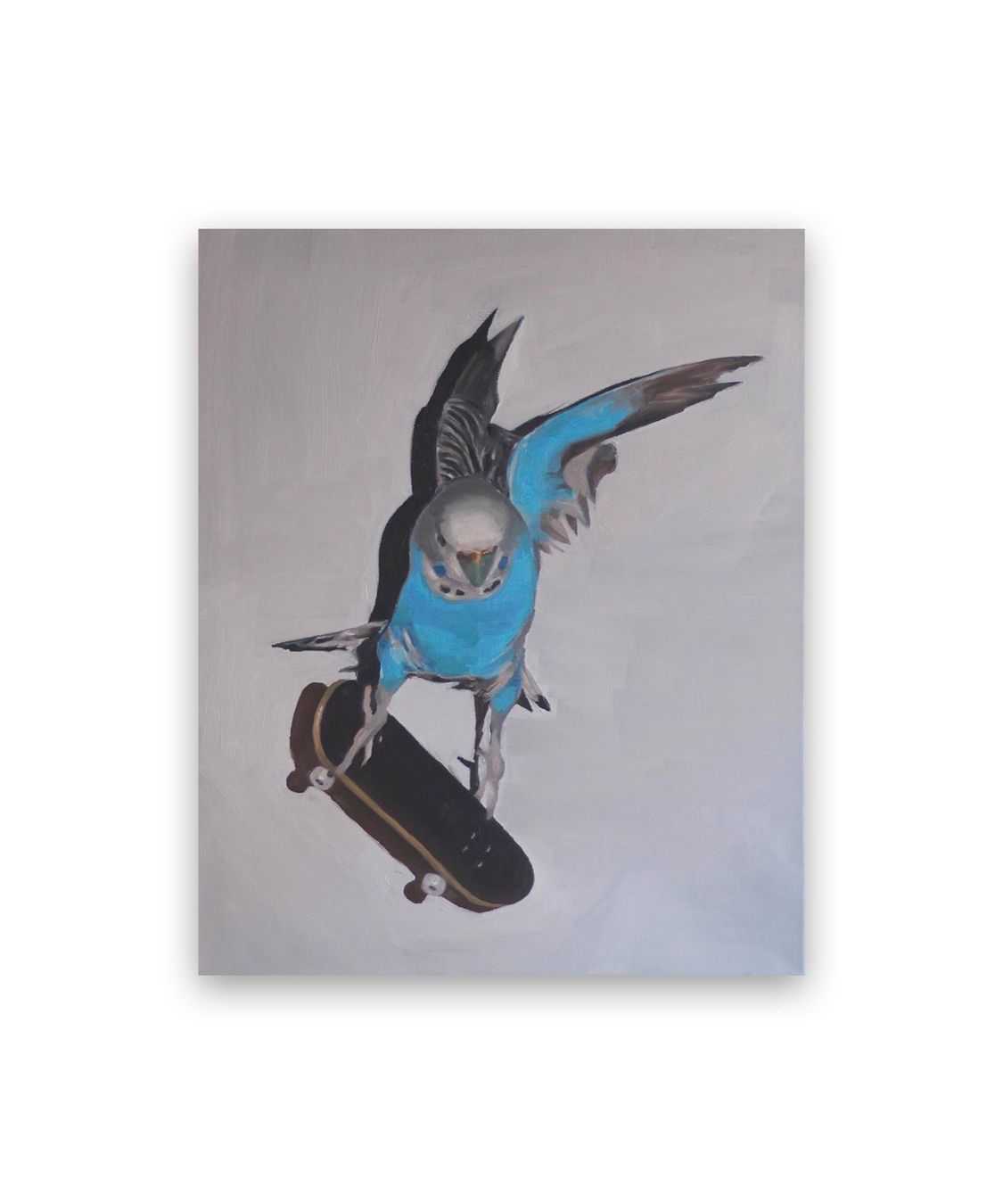 Dipinti: "Skater Birb" Ölbild 40x50cm – Usato da Zürich venduto da laranageli