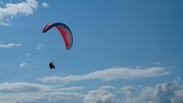 OZONE Swift 5 Super Zustand!