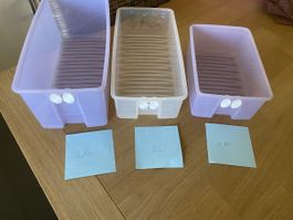 Tupperware Vorratsdose Set 