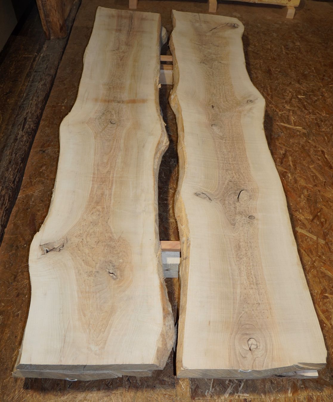 Articoli in legno: Bretter Esche – Nuovo e nell'imballaggio originale da Lohn GR venduto da Nilo87 2