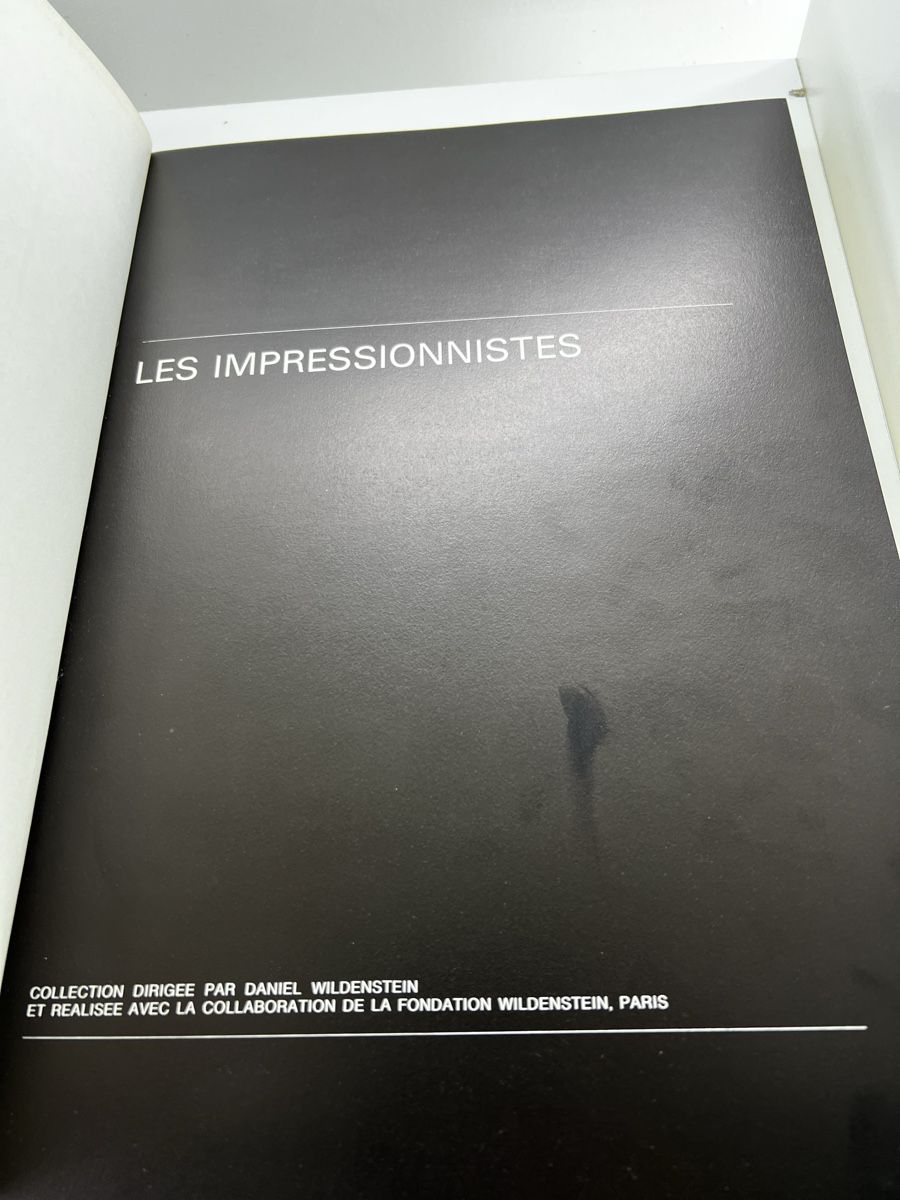 Libri: Van Gogh - Jaques Lassaigne - Les Impressionistes – Usato da Wettingen venduto da NickInc 1