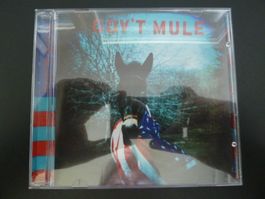 Gov't Mule (feat. Warren Haynes) - same (1995)