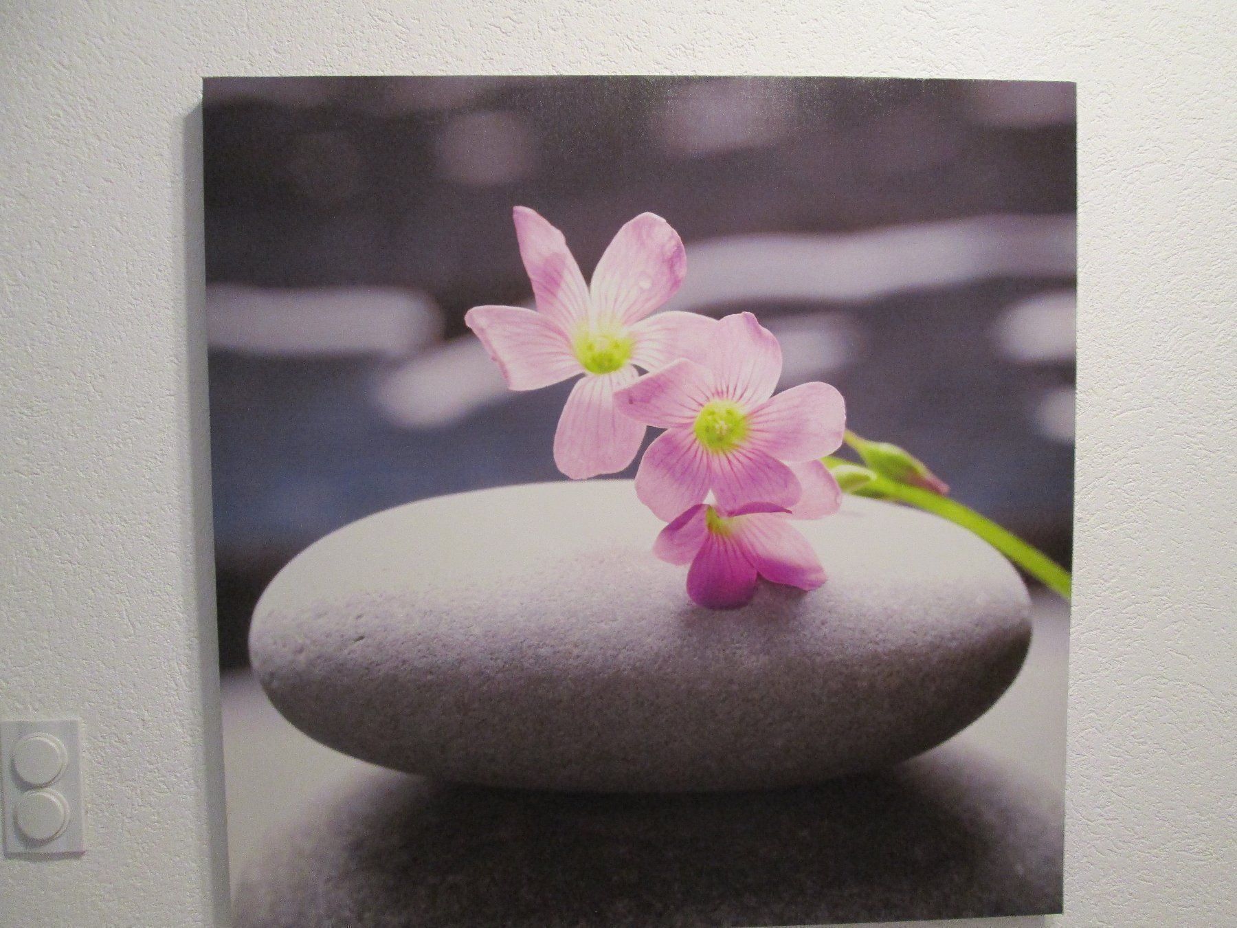 Posters & Illustrations: 2 Stk. - Bild  Orchidee und Rose – D'occasion à Movelier par KRASI61 1