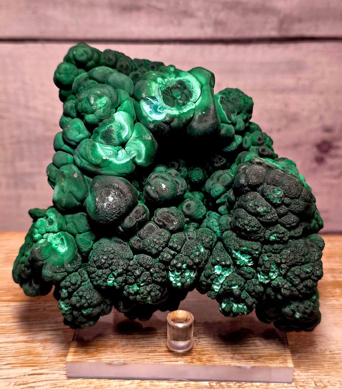 Minerali & Pietre curative: Majestätischer Malachit 1.14kg – Nuovo e nell'imballaggio originale da Matzingen venduto da Shay_Crystalz