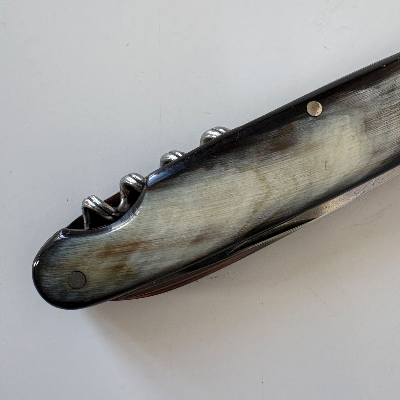 Coltelli tascabile: Sackmesser / Taschenmesser Hornschalen – Usato da Zürich venduto da Malf_007 8