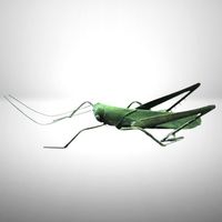 🦗Antike Metall-Heuschreckenfigur aus dem 20. Jahrhundert 🌿
