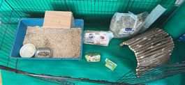 Enclos + accessoires pour Lapin ou chiots