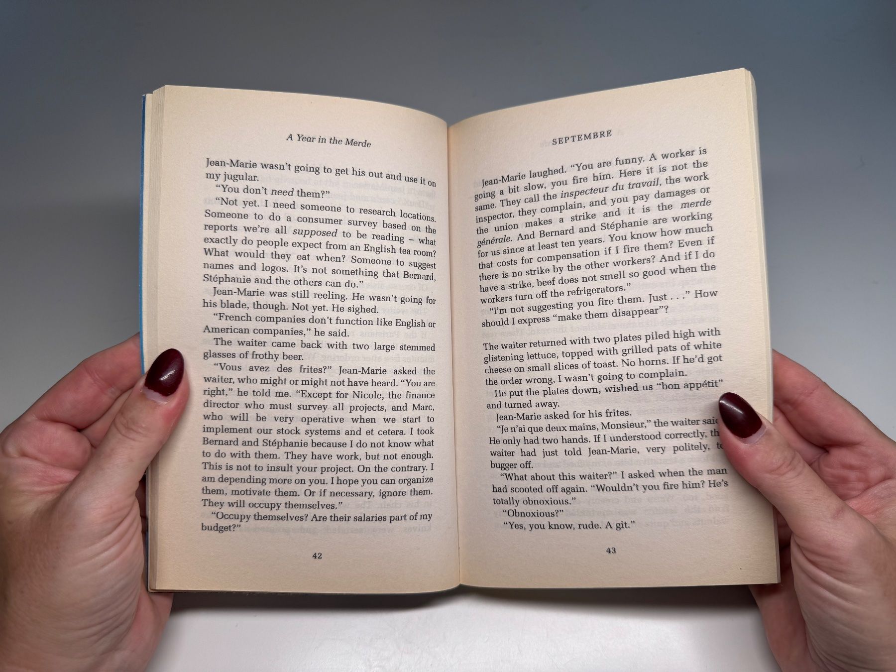 Libri: Novel: Stephen Clarke, A Year in the Merde – Usato da Grosswangen venduto da English_books 3