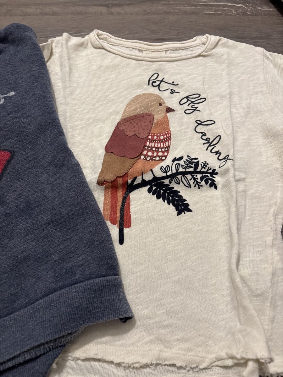 Zara Lotti & Set di vestiti: Zara Mädchen Kleiderpaket Gr. 110/5 Langarmshirt & Pulli 54 – Usato da Steinmaur venduto da VollService