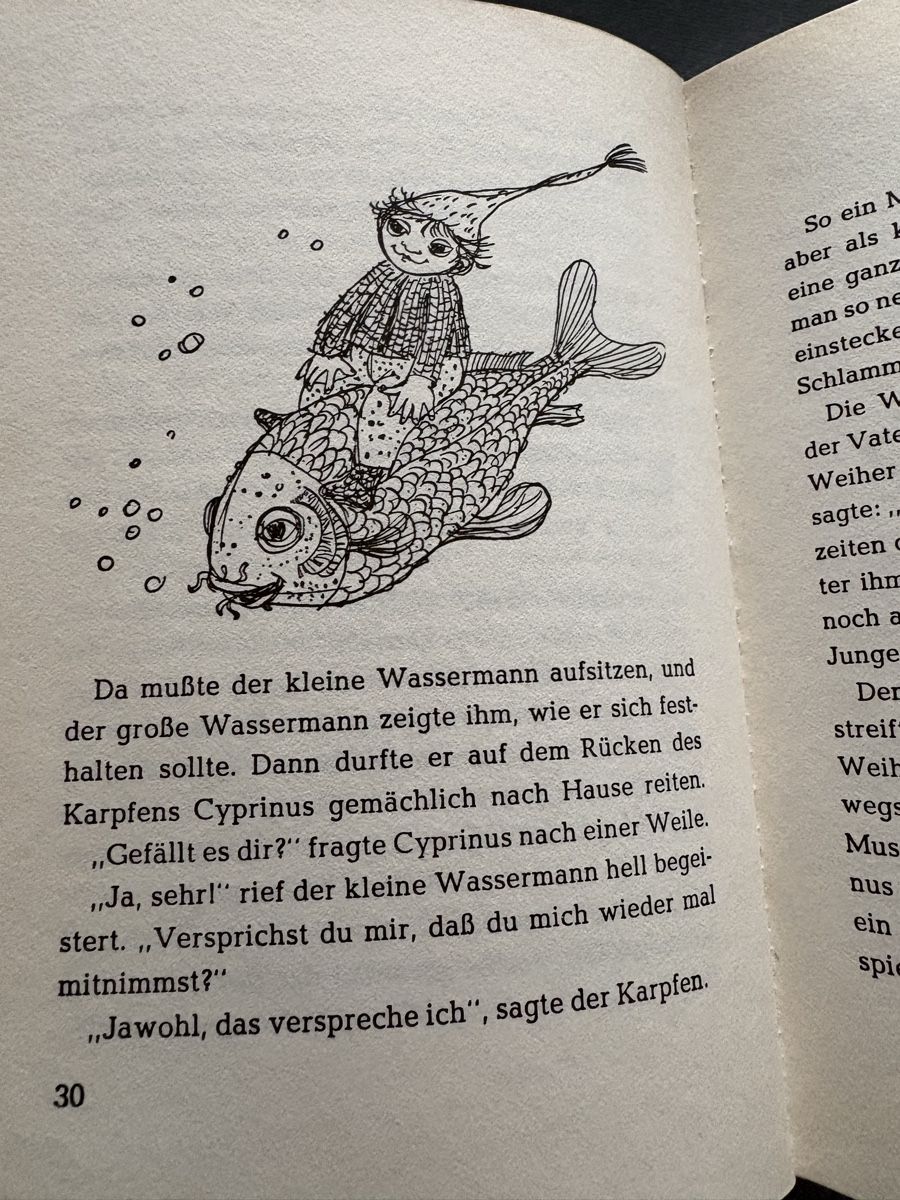 Libri: BUCH der kleine wassermann – Usato da Herzogenbuchsee venduto da warrior77 3