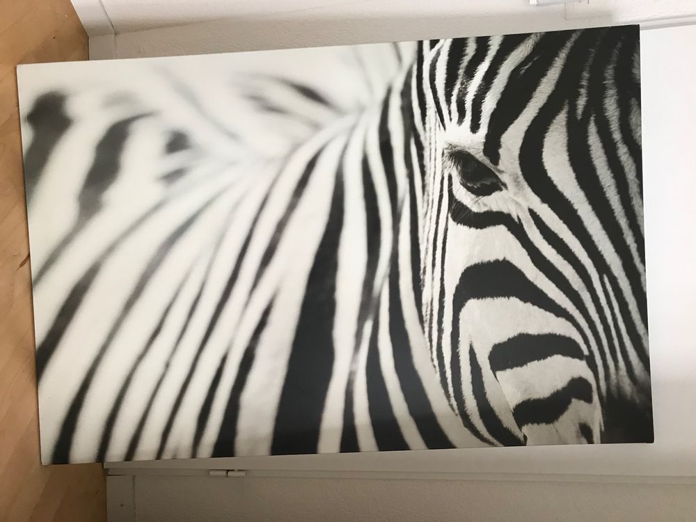 Zebra IKEA BILD: A Comprehensive Guide to the Digital Art Frame that Brings Your Photos to Life