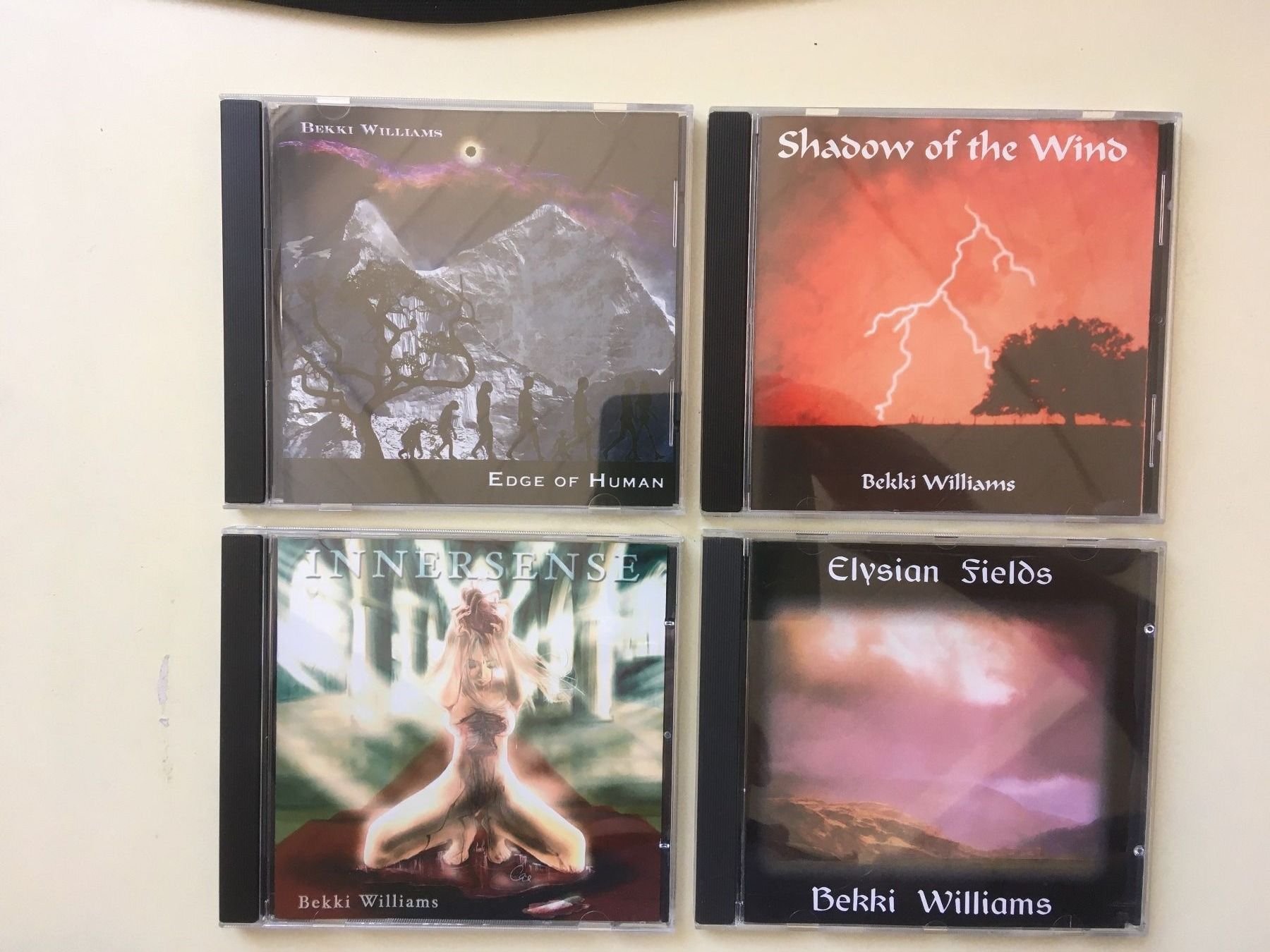 CDs: Bekki Williams 4 CD-Sammlung Elektronik Instrumental – Gebraucht aus Rüti ZH von Ochello