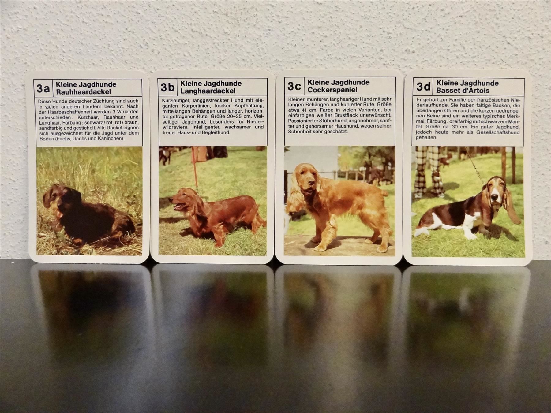 Spiele: altes Quartett TIER-QUARTETT HUNDE HUND – Gebraucht aus Kerzers von wisaundso 5