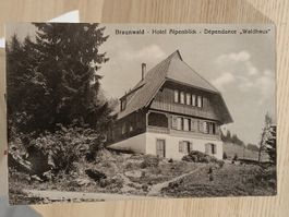 Alte PK / Braunwald - Hotel Alpenblick Waldhaus ca. 1920