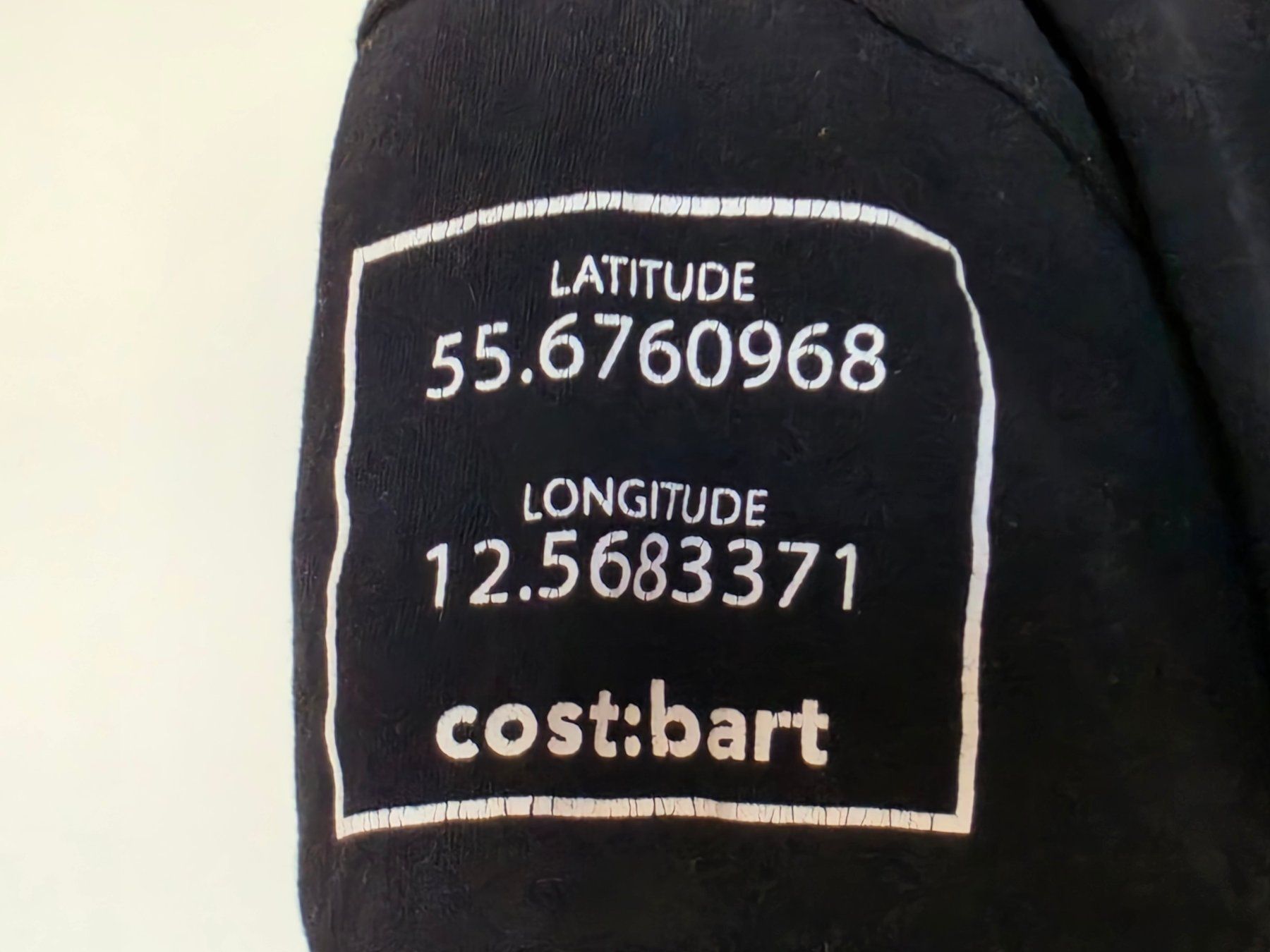 Hemden, T-Shirts & Polos: T-Shirt Bio cost:bart S – Gebraucht aus Zürich von Pemberleys 2