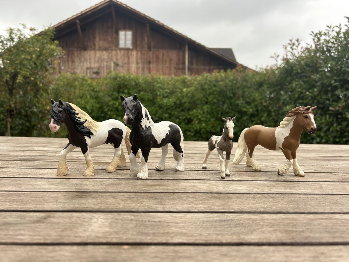 Schleich Jouets: Schleich Pferde, Tinker – D'occasion à Mägenwil par Australia19 1