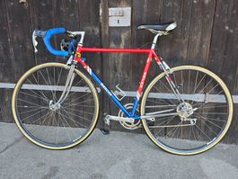 Eddy Merckx Corsa Extra Campagnolo, 53 cm Rennvelo Sammler