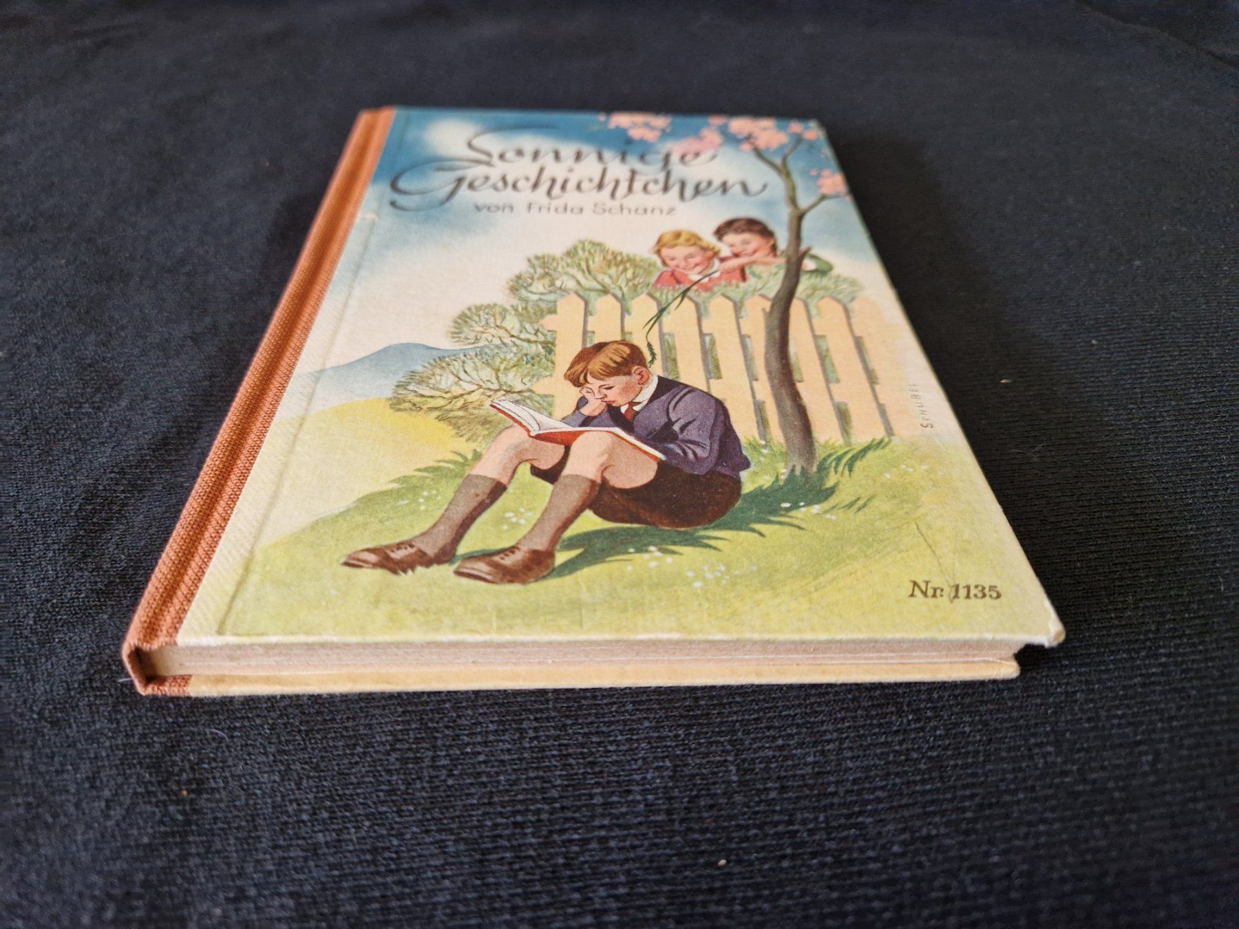 Libri: FRIDA SCHANZ "Sonnige Geschichtchen" – Usato da Muhen venduto da Restwert_Muhen 1