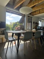 6 Design HAY Stühle (knapp 3 Monate alt)