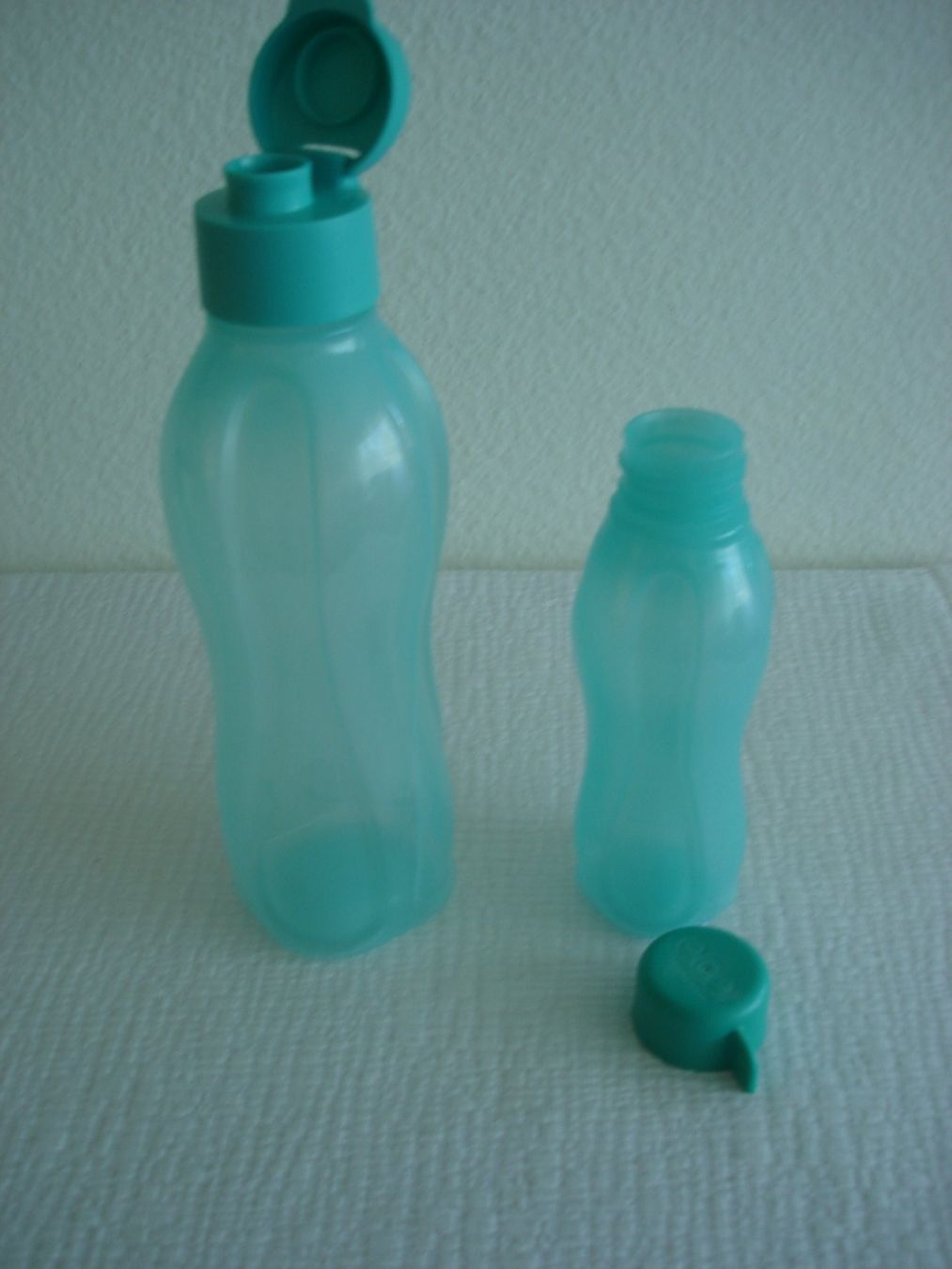 Tupperware Gourdes & Thermos: 2 Tupperware Eco-Trinkflasche 750 ml. & 350 ml – D'occasion à Regensdorf par anna059 1