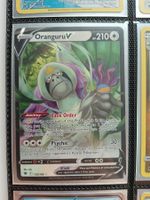 Oranguru V