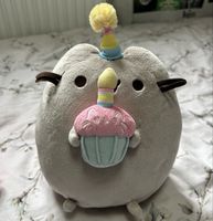 Cat Plush Toy with Birthday Cake