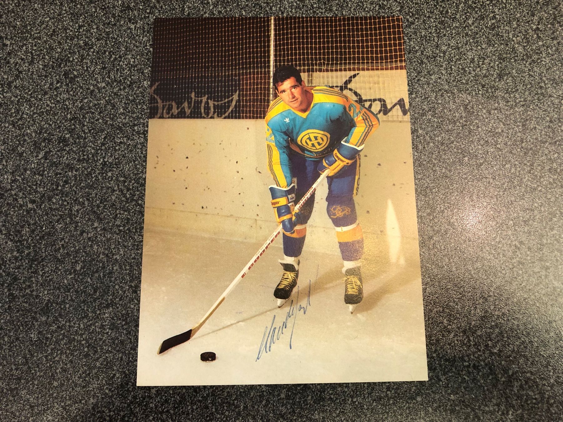 Autografi: 21 Original Autogrammkarten HC DAVOS – Usato da Lufingen venduto da Rac0
