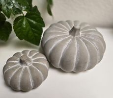 Herbstdeko: 2 Kürbisse aus Zement, , Grau 🎃🍂