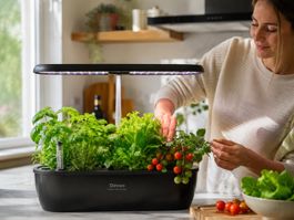 Diivoo Hydroponic System IGS37 LED | Komplettset
