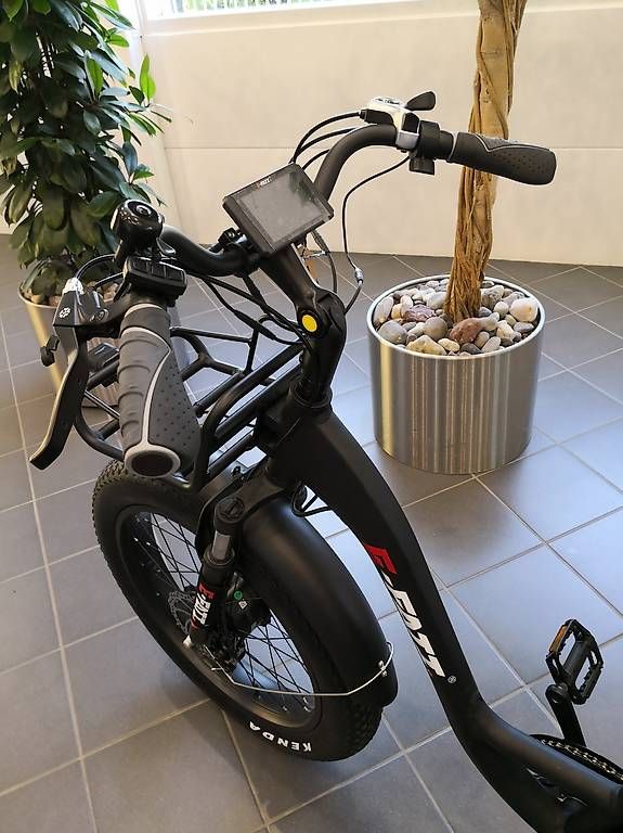 Veicoli elettrici: Elektro Dreirad EFATI – Usato da Lyssach venduto da Hoferbike 3