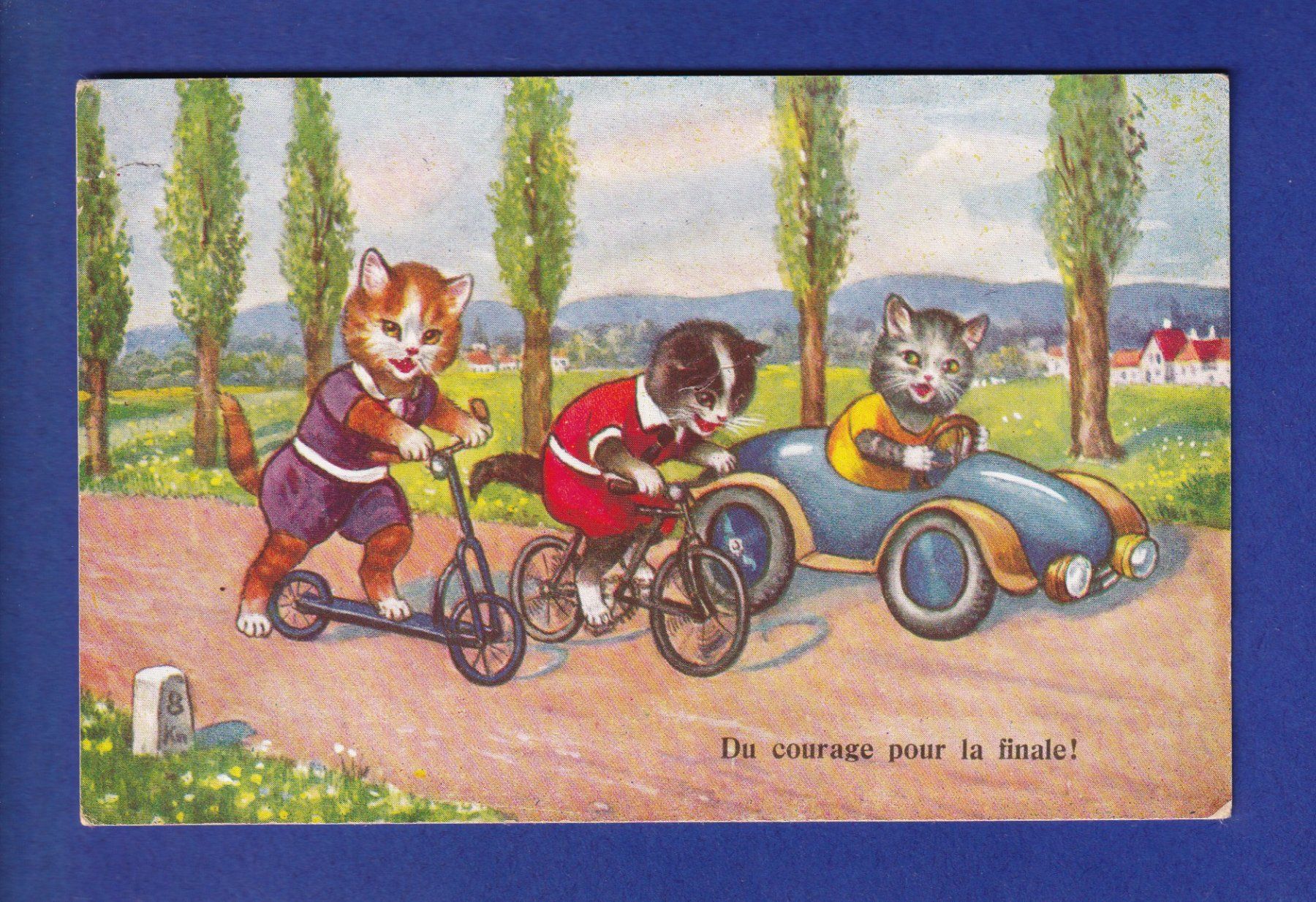 Ansichtskarten: CHAT - Chats humanisés - La Course // déchirure // – Gebraucht aus Pully von nicecards-shop