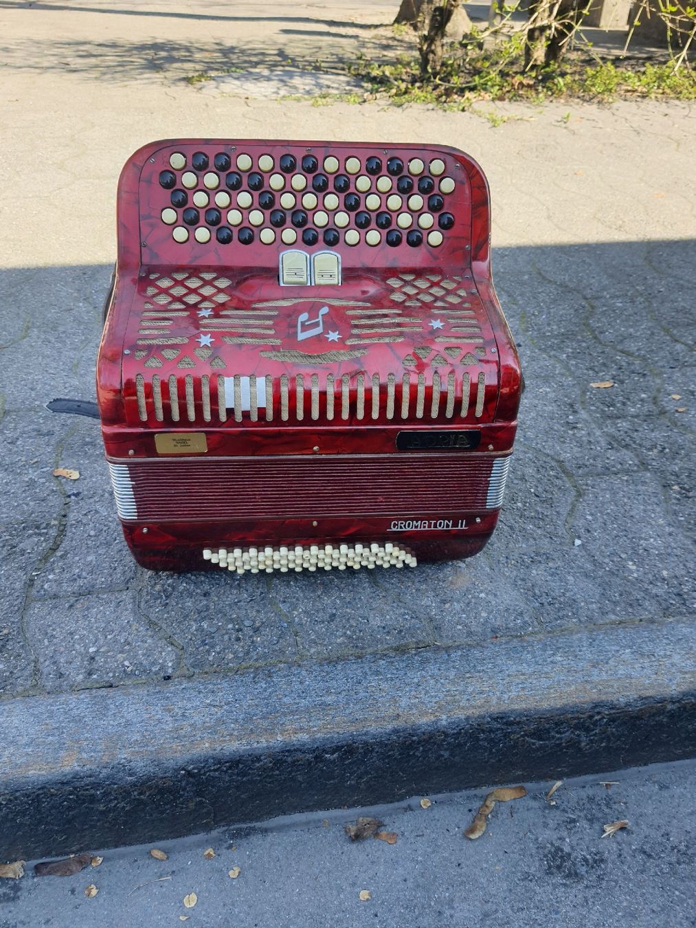 Adria Strumenti musicali: accordéon Adria chromatique – Usato da Pont-de-la-Morge venduto da Mirabelle0 2