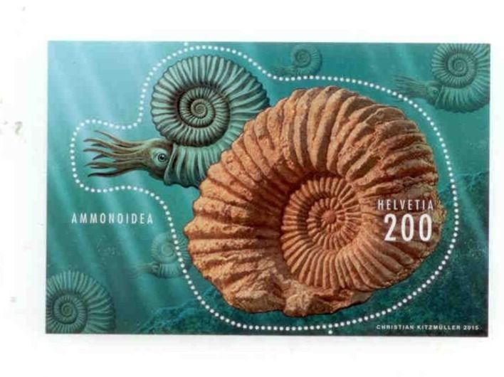 Tutti i francobolli: Briefmarken Sonderblock  AMMONDIDEA postfrisch – Nuovo e nell'imballaggio originale da Neuhausen venduto da magi07