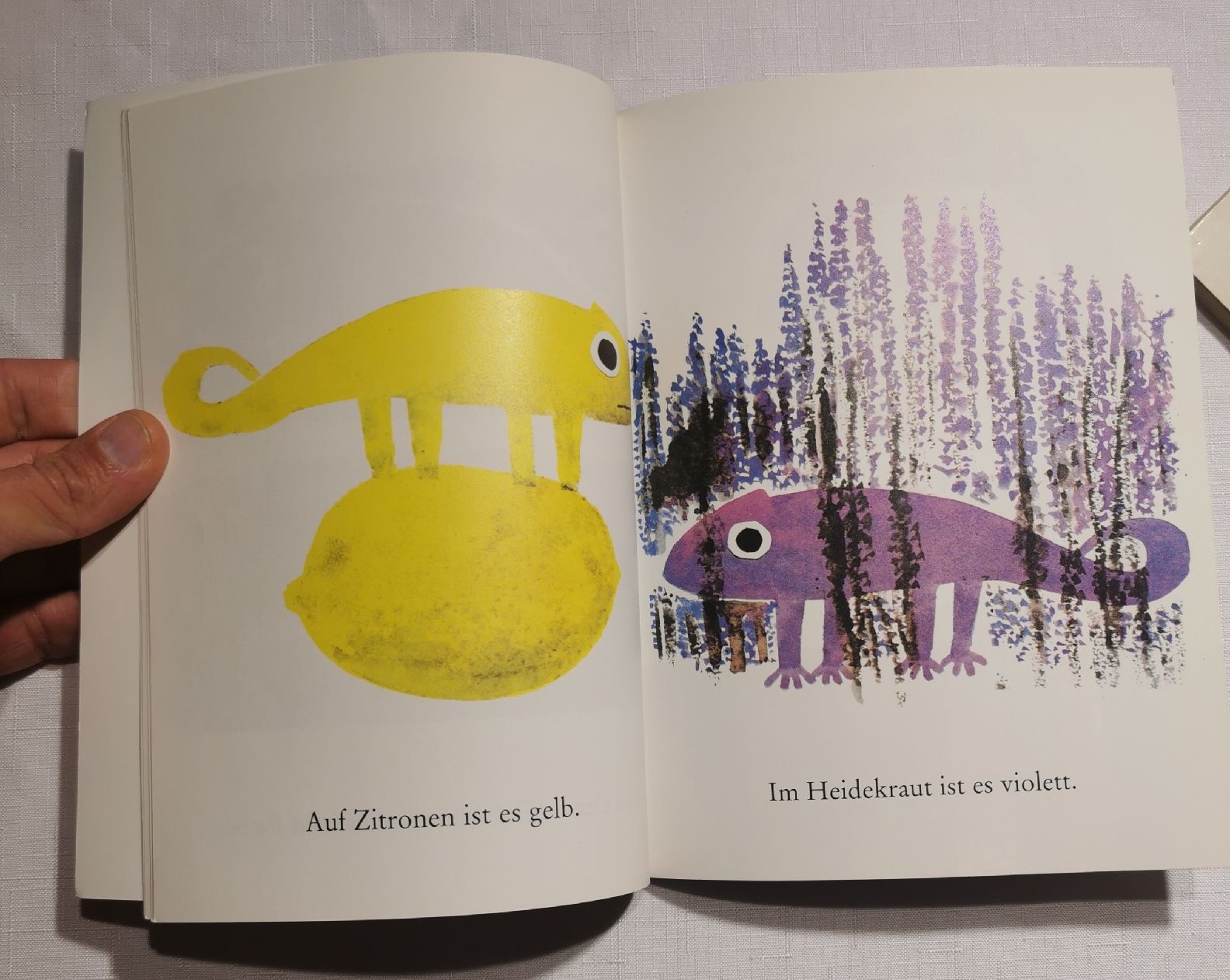 Libri: 2x Leo Lionni - Frederick - Was? & Seine eigene Farbe – Usato da Wängi venduto da ABIZONE-86 4