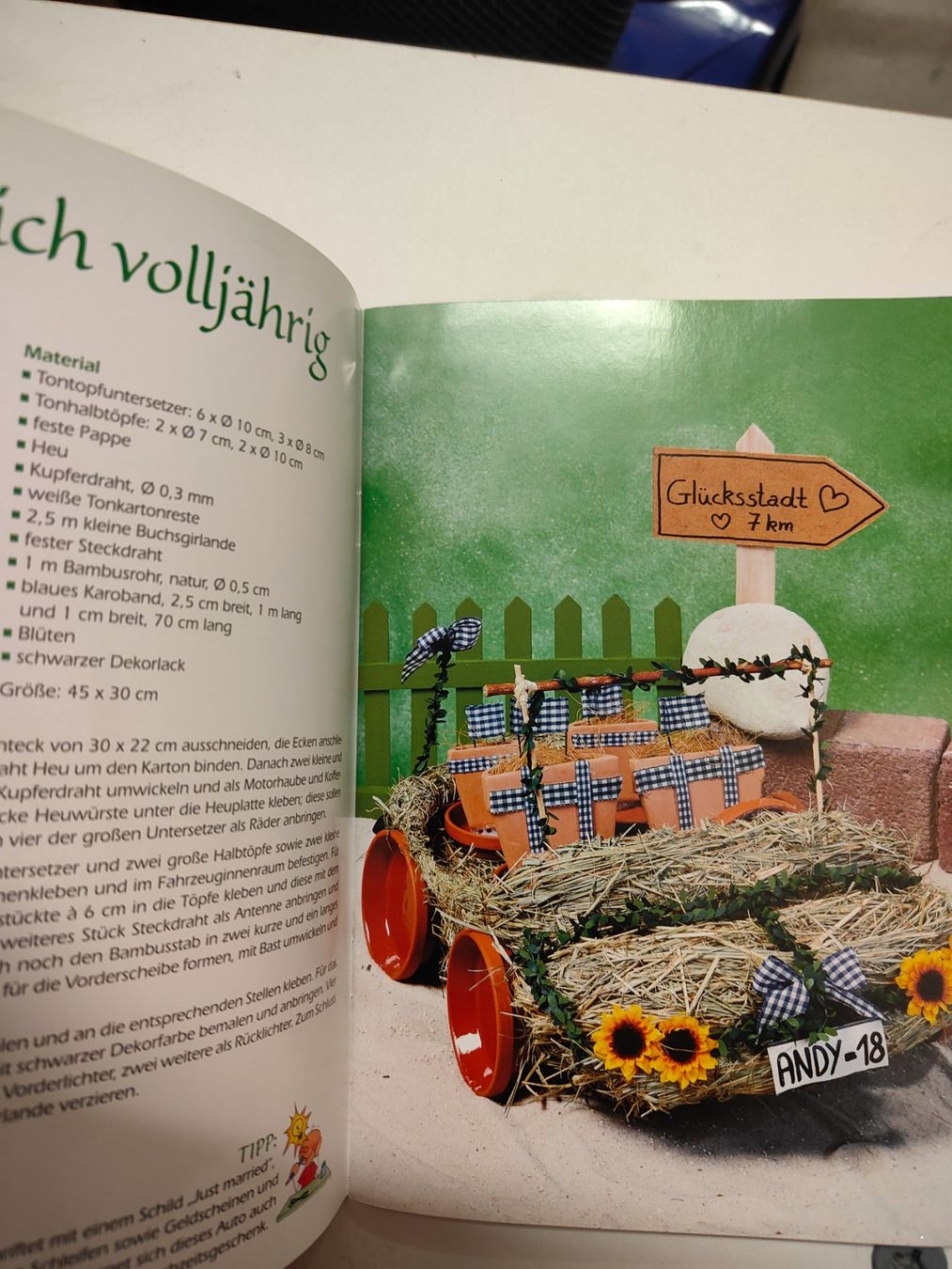 Libri: Bastelbuch Set gem Bildern – Usato da St. Gallen venduto da Bisaknosp 1