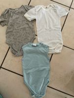 3 Migros Bodys mit Koala-Motiv blau/weiss Gr.74/80