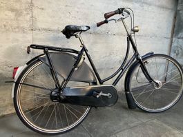 Gazelle „Hollandvelo“ Tour Populair 5-Gänge Nabe