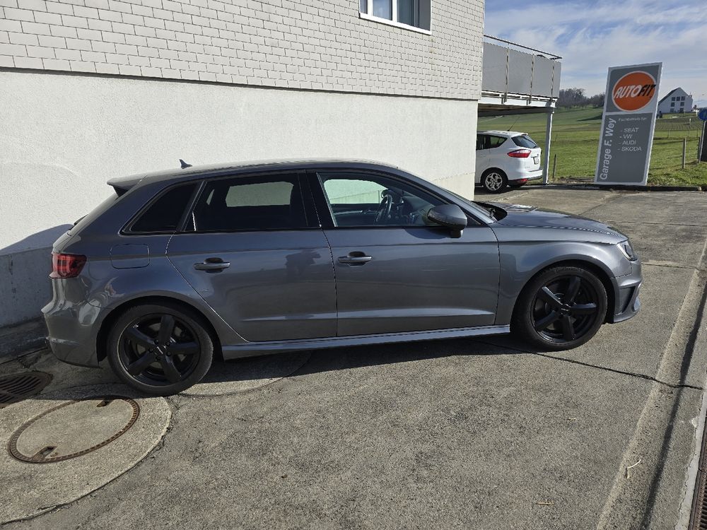 Audi S3 8V ohne OPF!