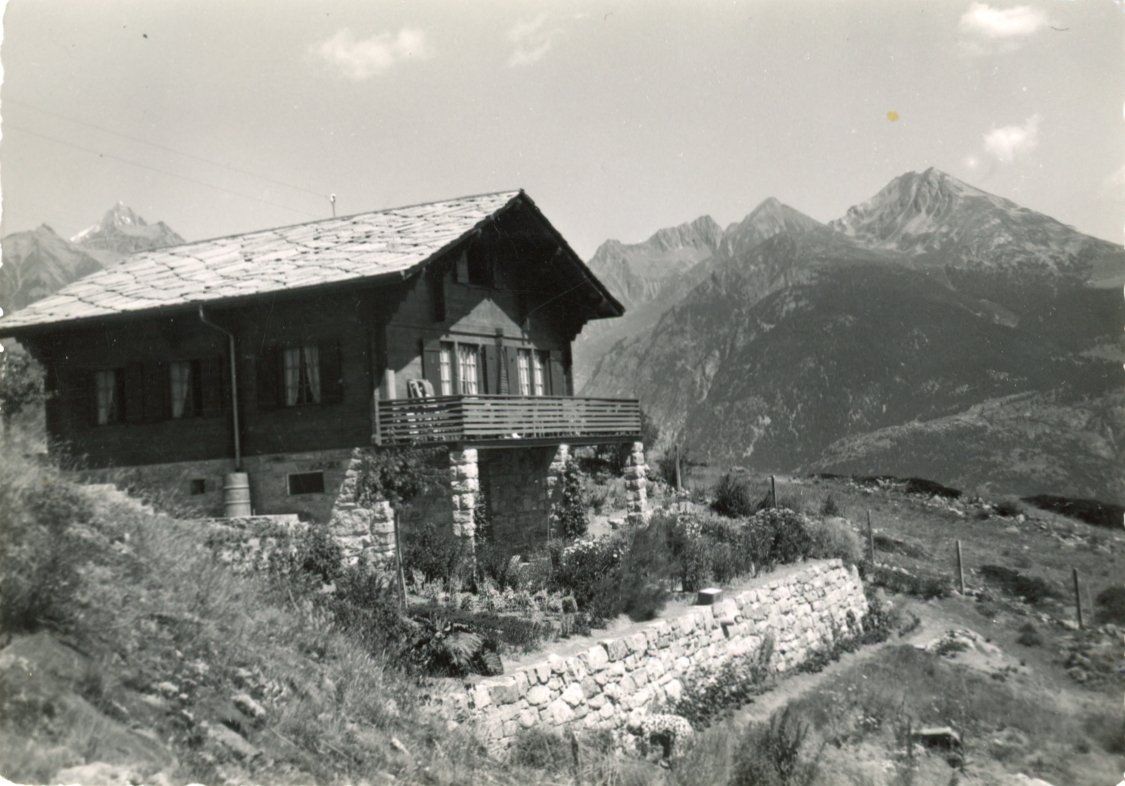 Cartoline postali: Zeneggen   VS        um 1960 – Usato da Brig venduto da Valcards54