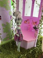 Barbie Mattel Monster High Frankie Stein
