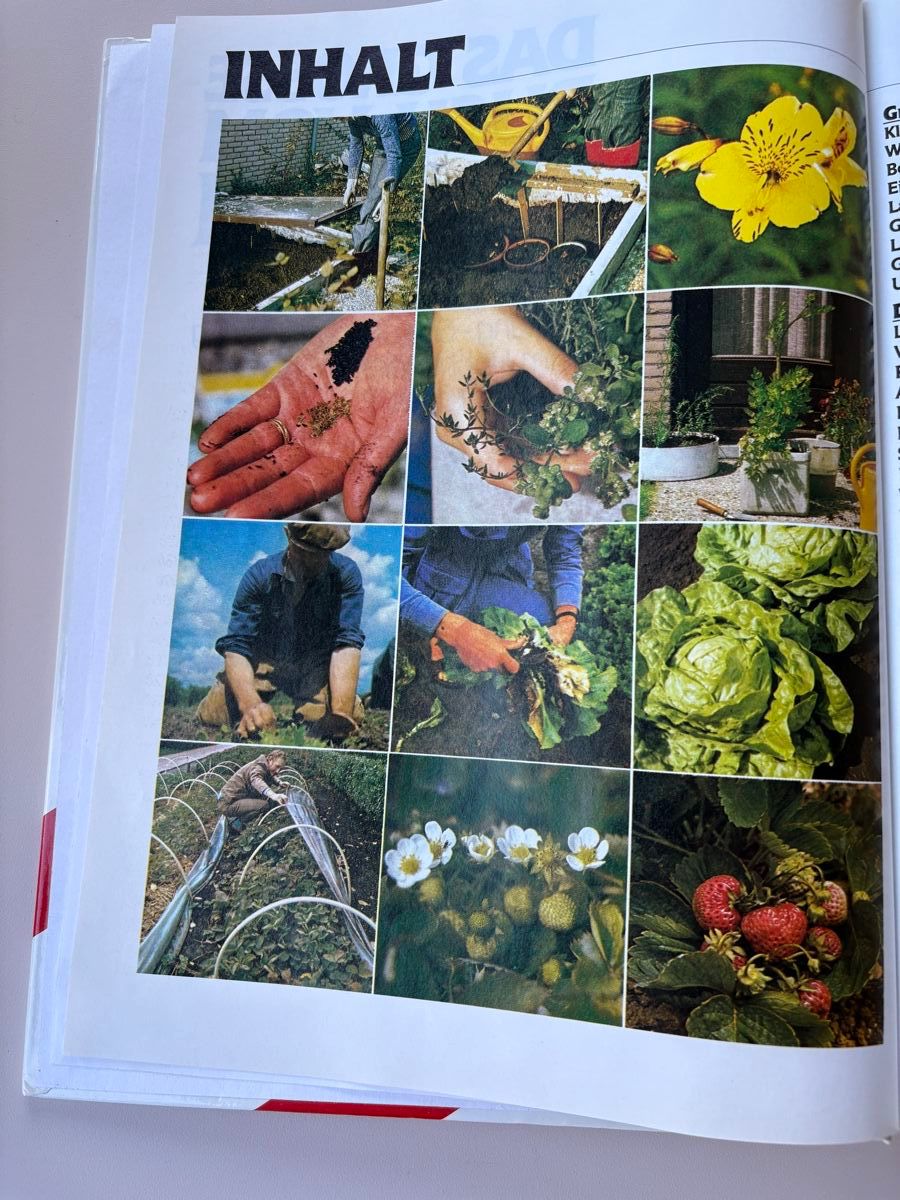 Libri: DAS GROSSE BUCH VOM GARTEN – Usato da Zürich venduto da jimmy_12 2