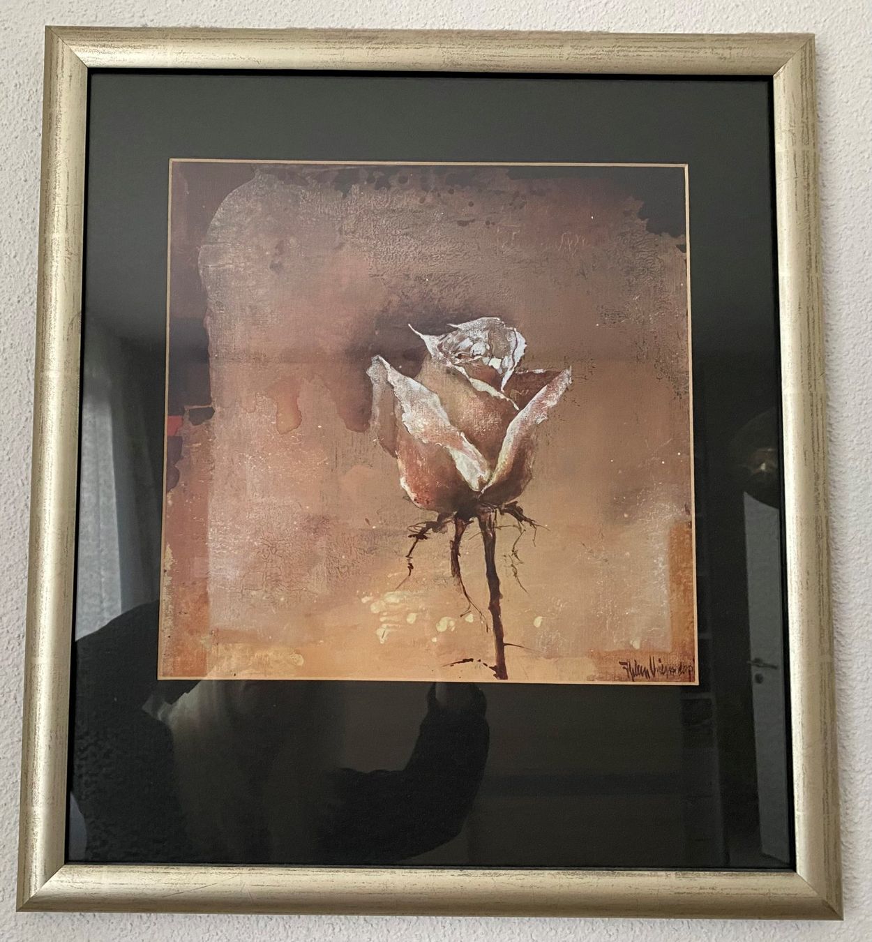 Foto & Immagini: 2 Bilder 45x49cm mit Rosenmotiv – Usato da Reichenburg venduto da Noxima 2