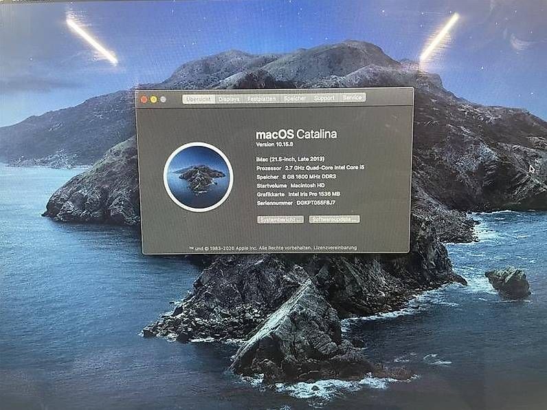 PC: iMac (21.5-Inch, Late 2013) – Usato da Wädenswil venduto da kingnature 4