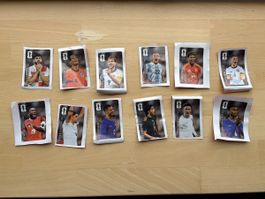 Panini 12 Coca-Cola Stickers