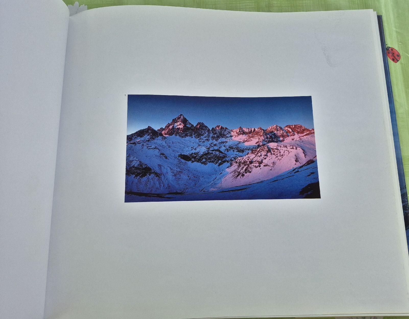 Libri: Bellissimo libro " Le Alpi" Italiano ed inglese – Usato da Lostallo venduto da Barshei79 3
