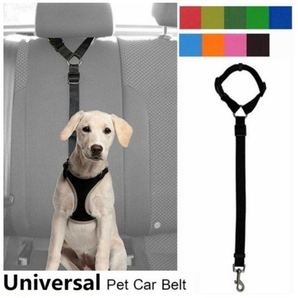 Attrezzatura da arrampicata: Haltegurt (Hund) Auto inkl. Leine – Nuovo e nell'imballaggio originale da Langenbruck venduto da Gumsi