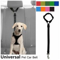 Haltegurt (Hund) Auto inkl. Leine