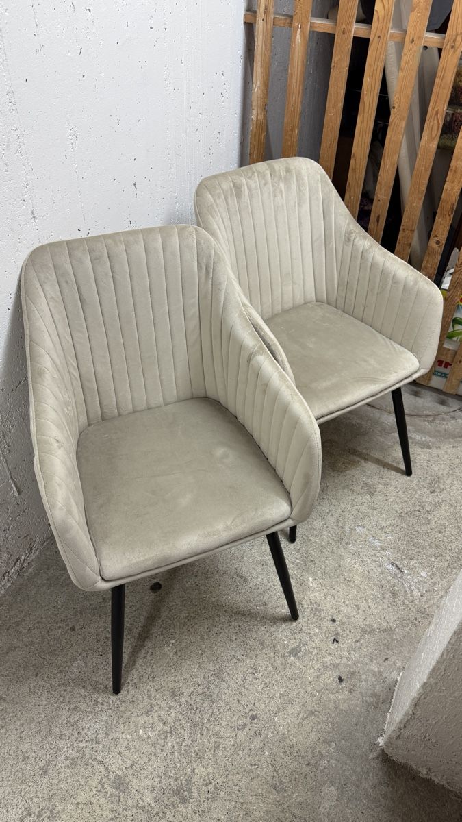 Sedie: 2 moderne Samt-Stühle in Beige / Creme – Usato da Embrach venduto da siiviisii 1